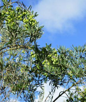 About